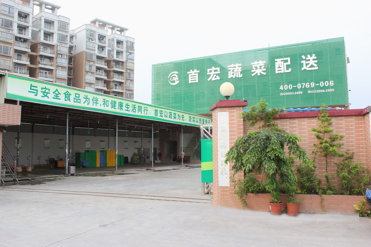 揭阳蔬菜配送